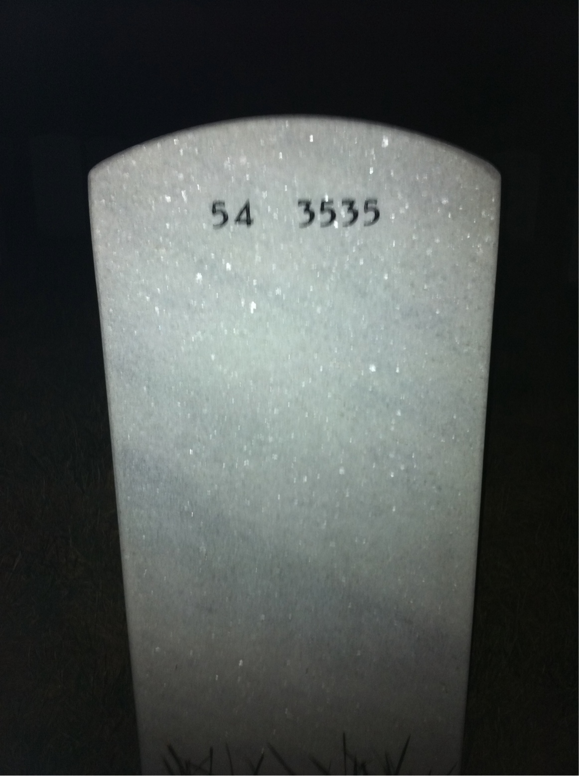 Back of headstone — Thomas Butkiewicz