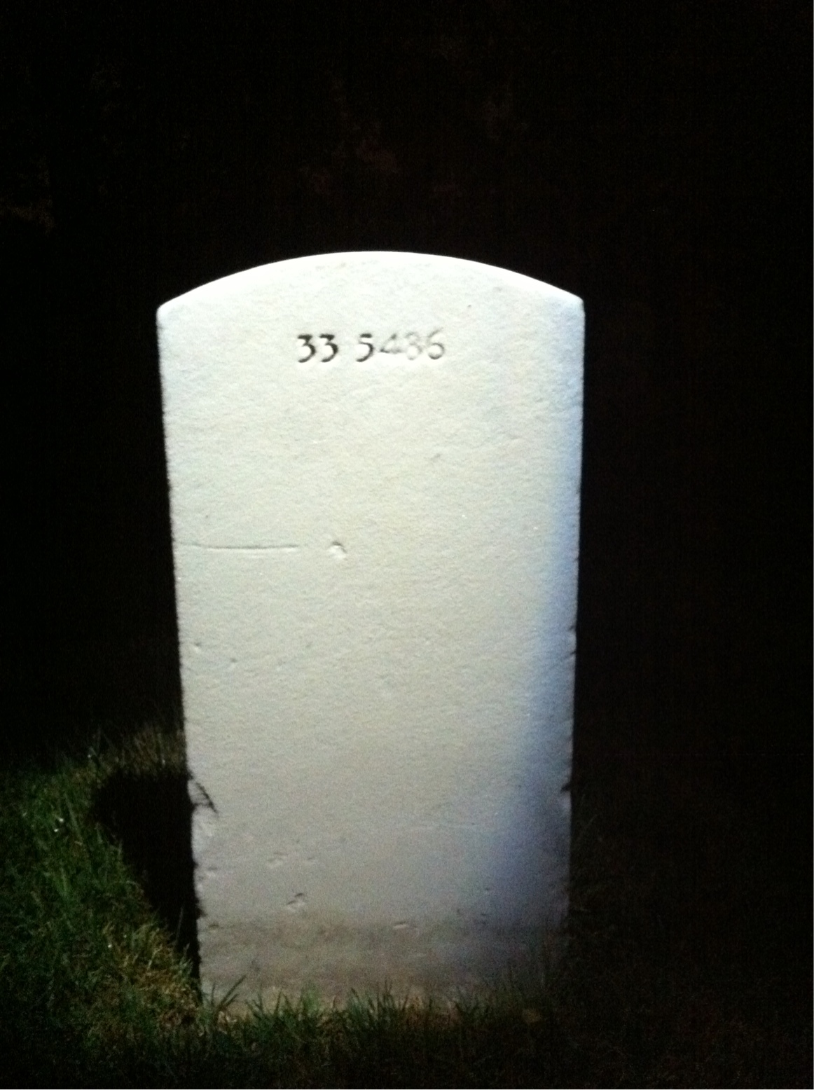 Back of headstone — William Francis Budd