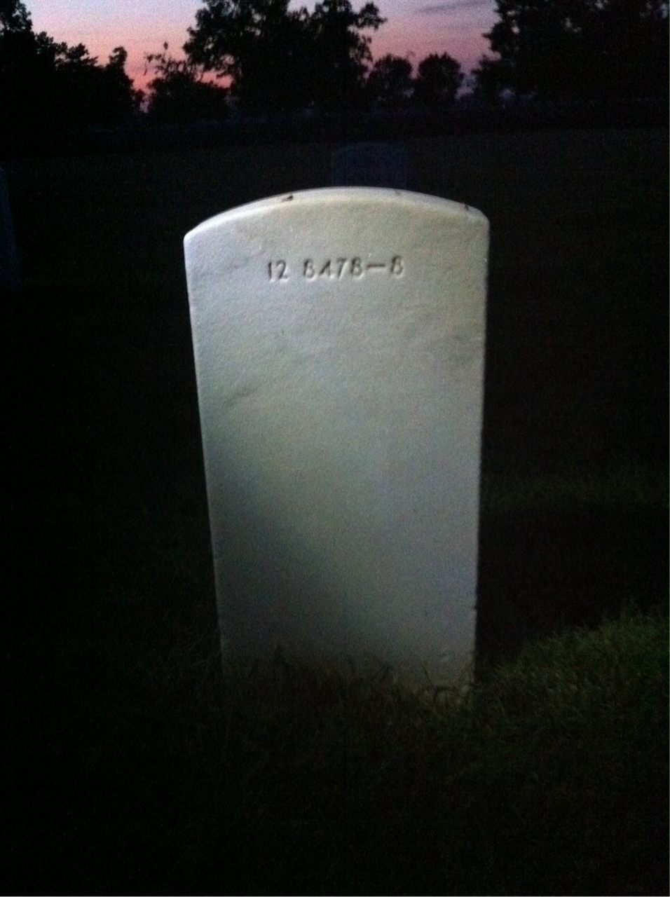Back of headstone — Thomas Henry Lee
