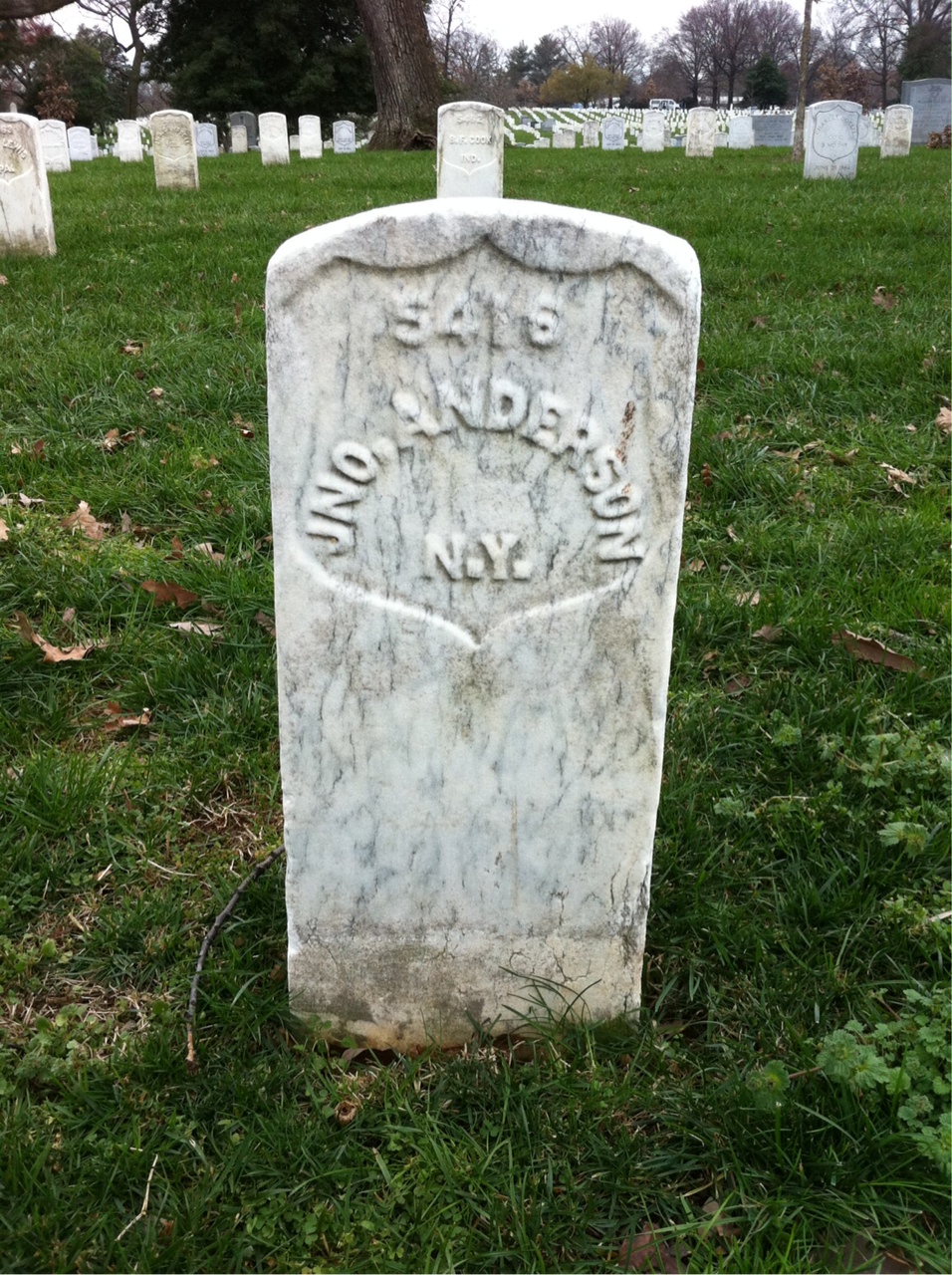 John Anderson