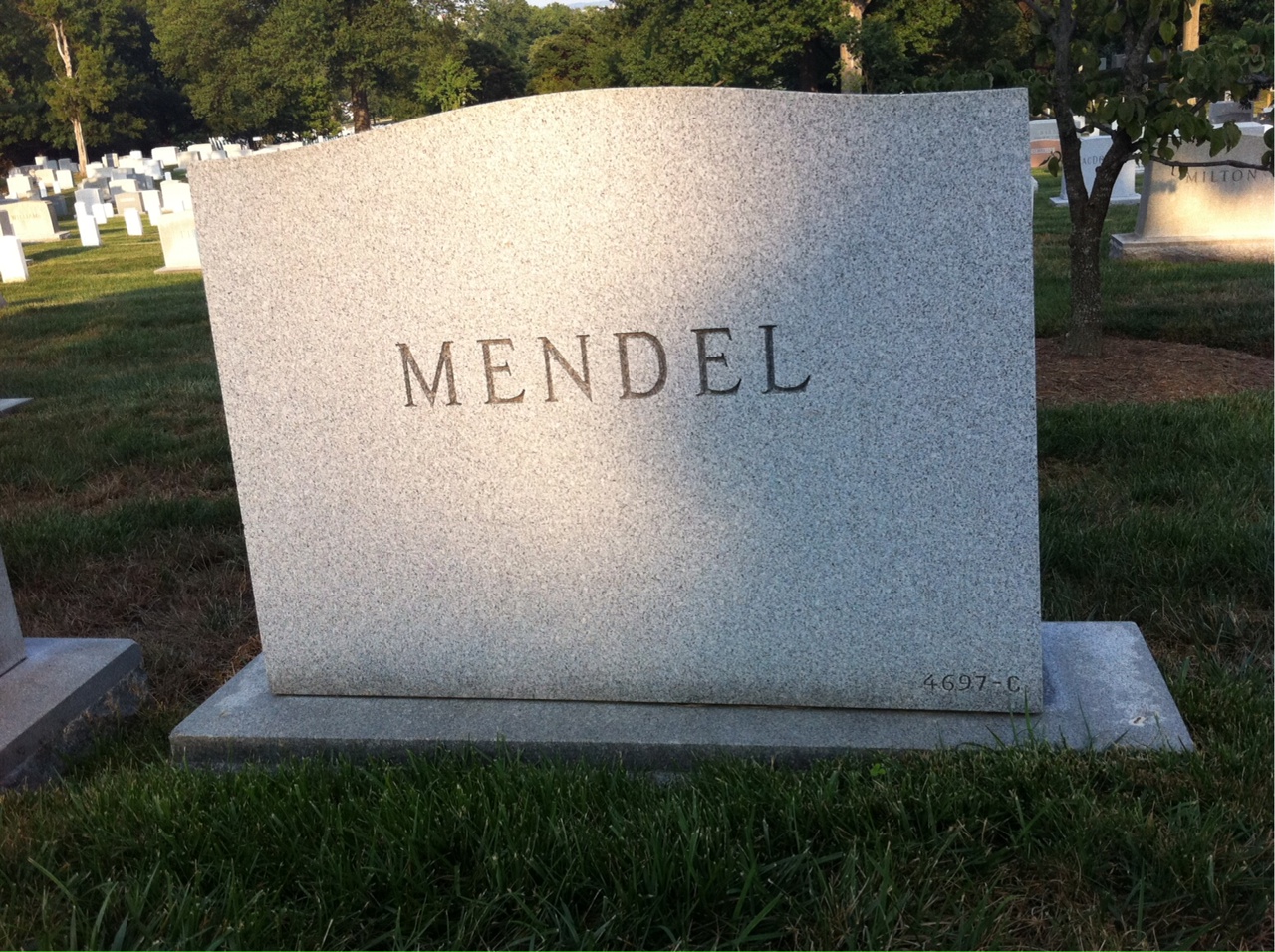 Back of headstone — Lillian Mendel