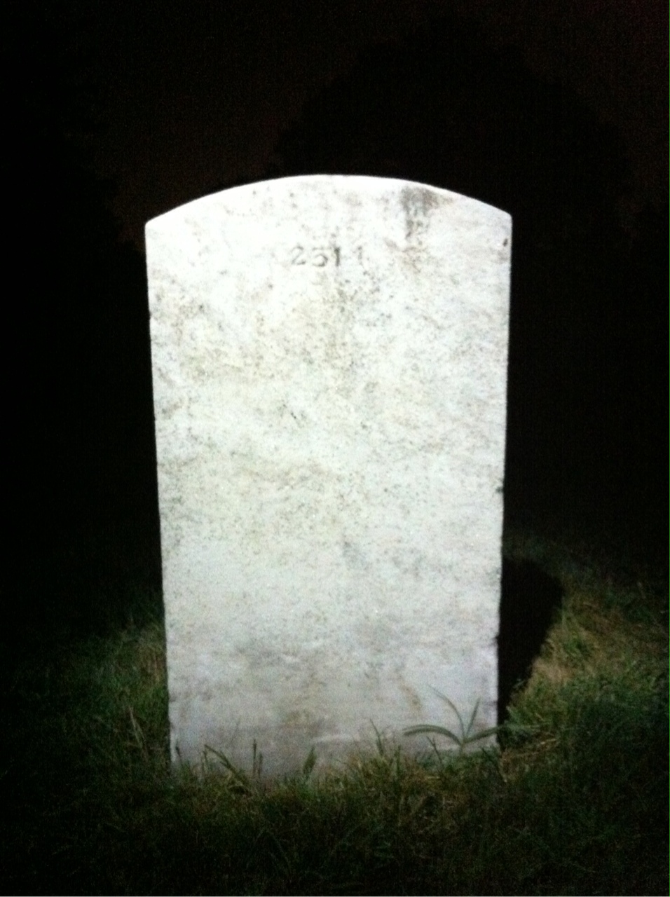 Back of headstone — Robert Collins