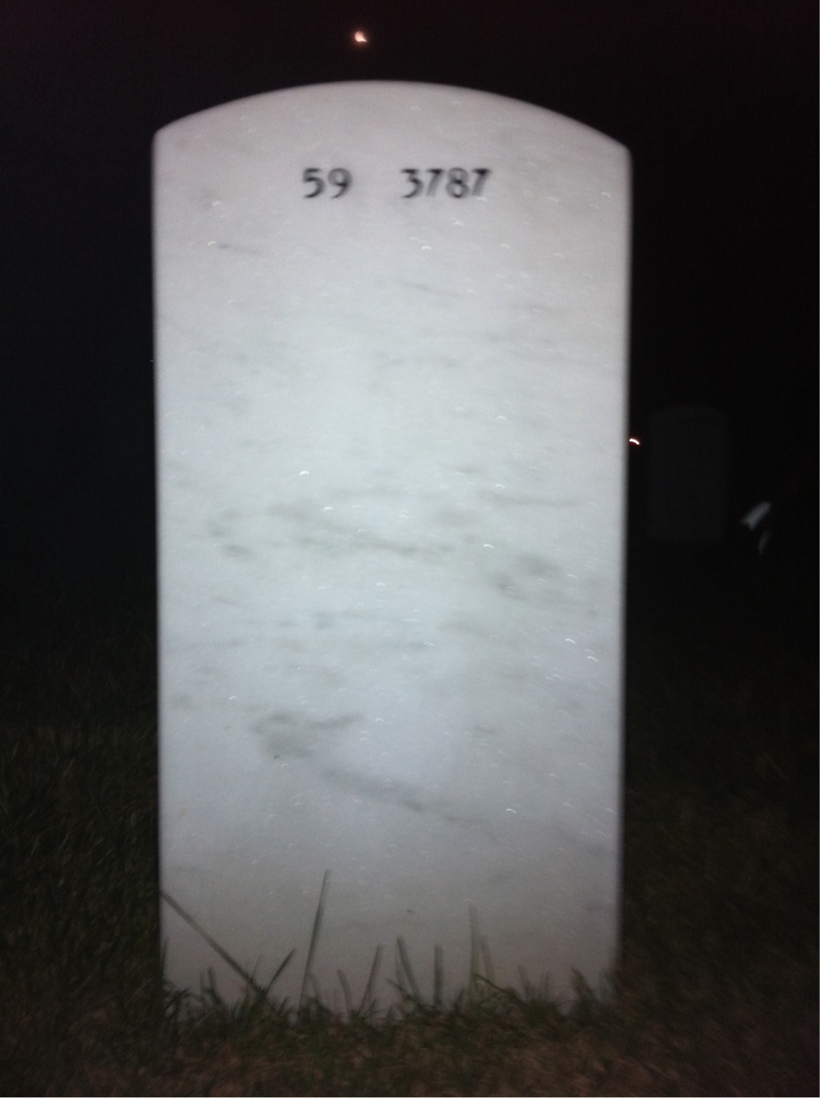 Back of headstone — Ronald Zalimas