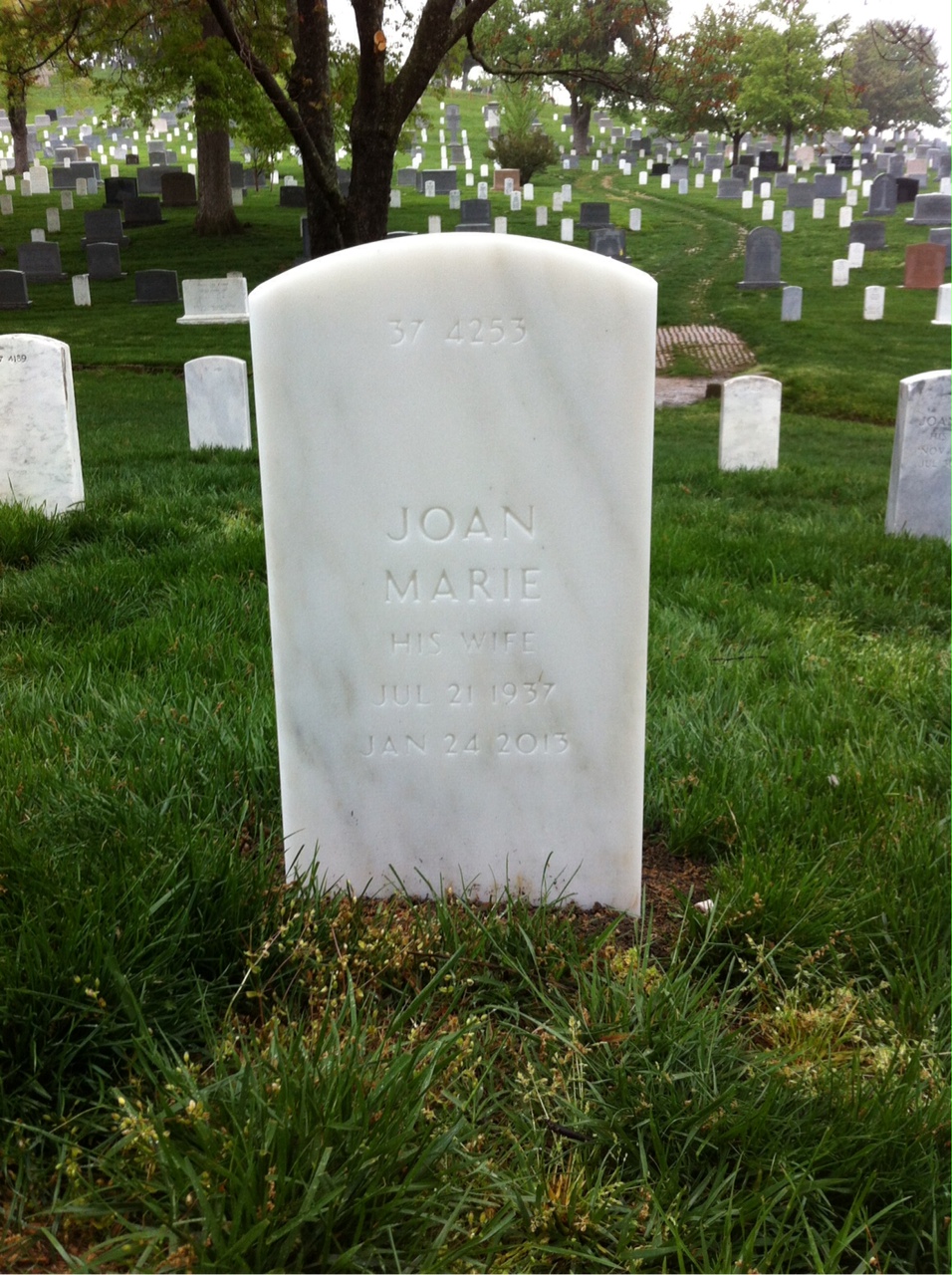 Back of headstone — Allan Alexander