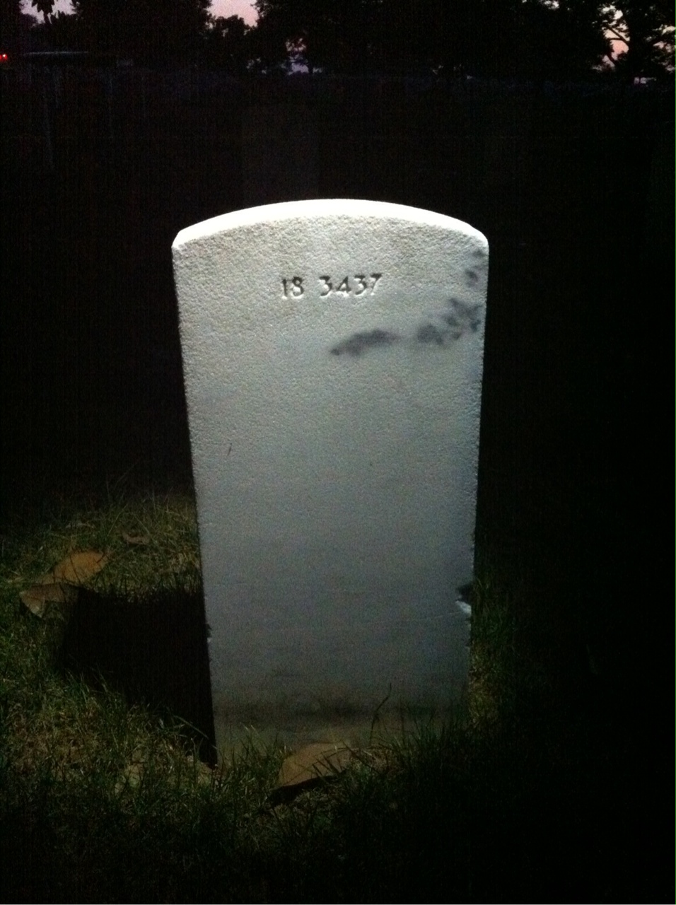 Back of headstone — Denver Bailey