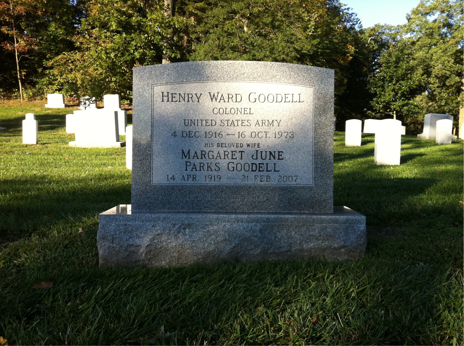 Henry Goodell
