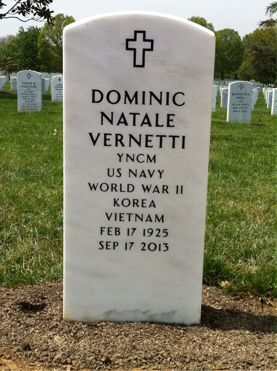 Dominic N Vernetti