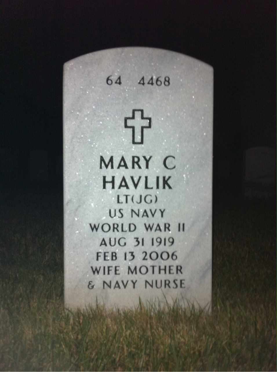 Back of headstone — John Havlik