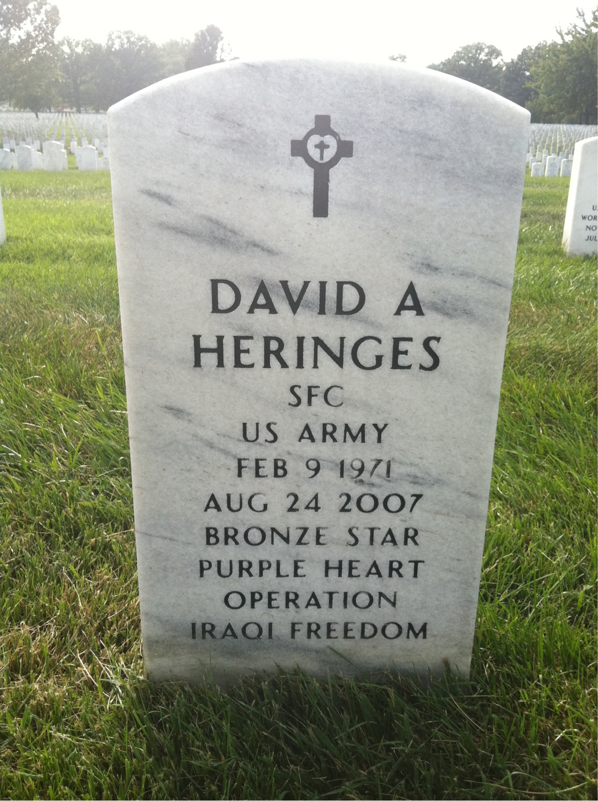 David Heringes
