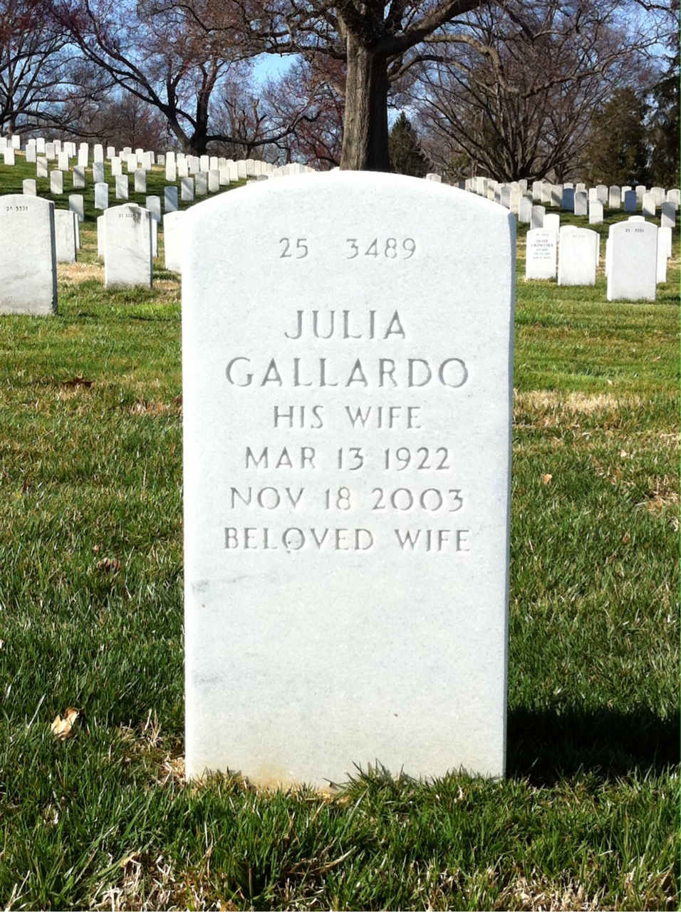 Back of headstone — Efrain Colon-Maldonado