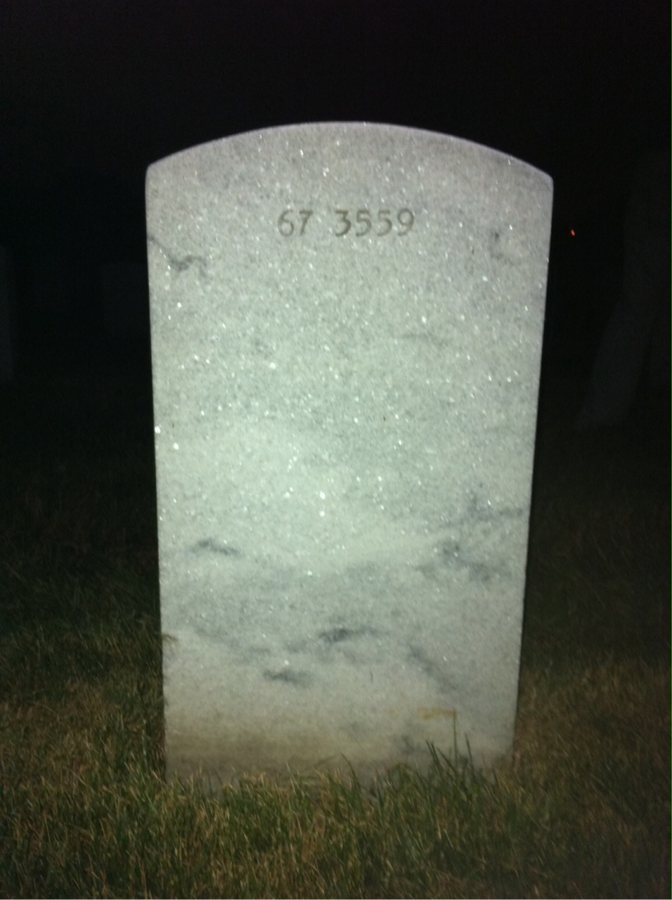 Back of headstone — Alfonso Visco