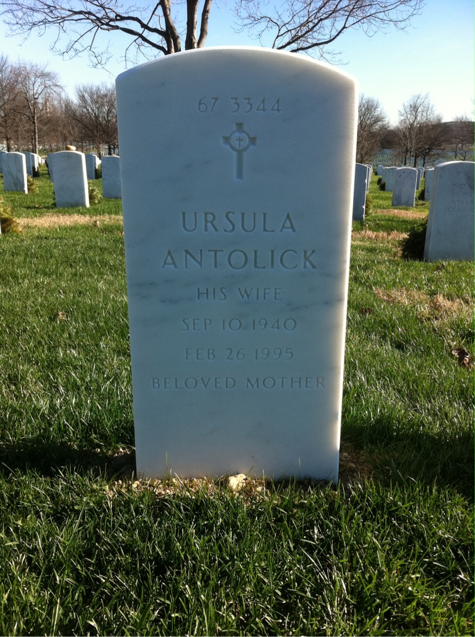 Back of headstone — David Antolick