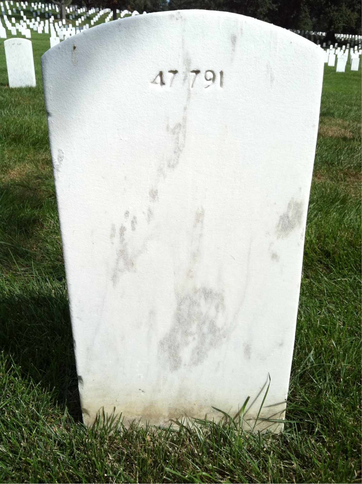Back of headstone — Elegia Moritz