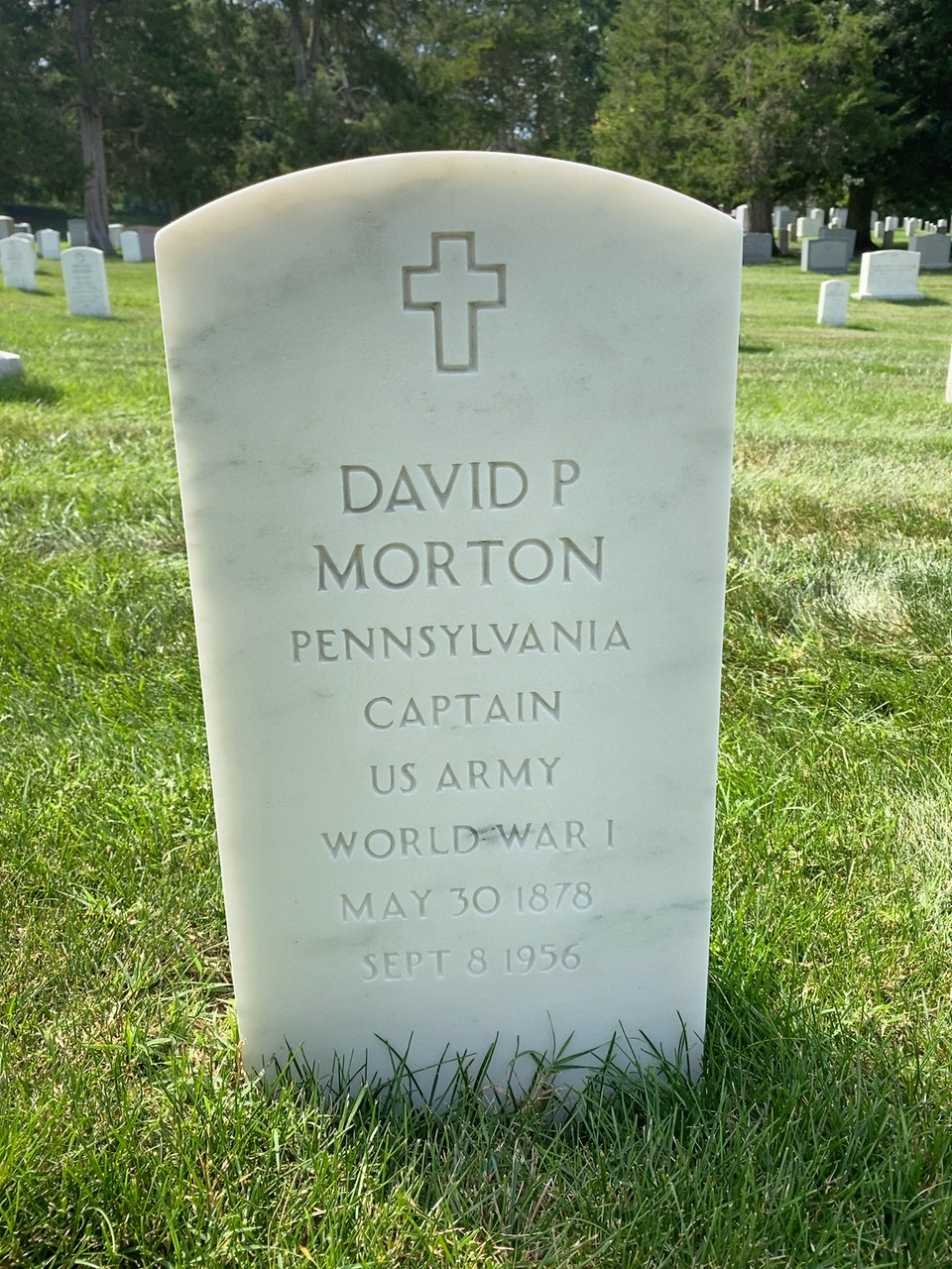 David Morton