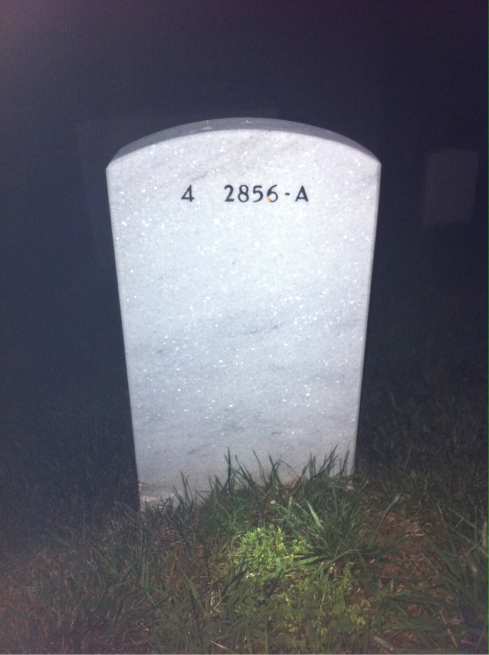 Back of headstone — Carl Mueller