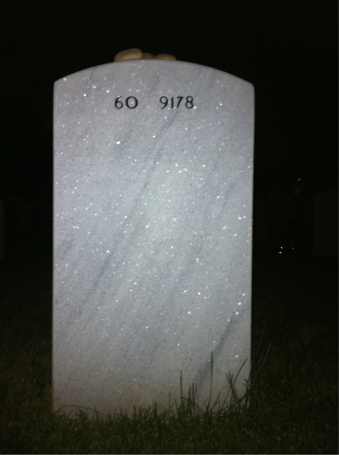 Back of headstone — David A Wisniewski