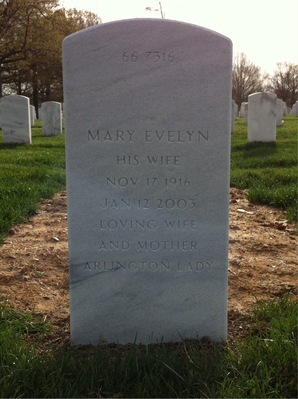 Back of headstone — Clifford Adams