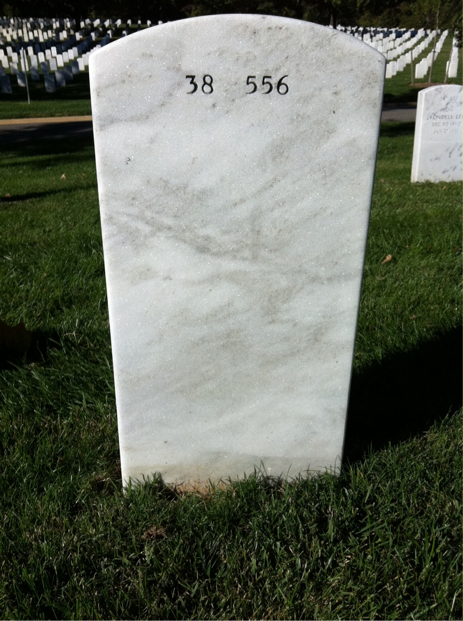 Back of headstone — James Tresselt