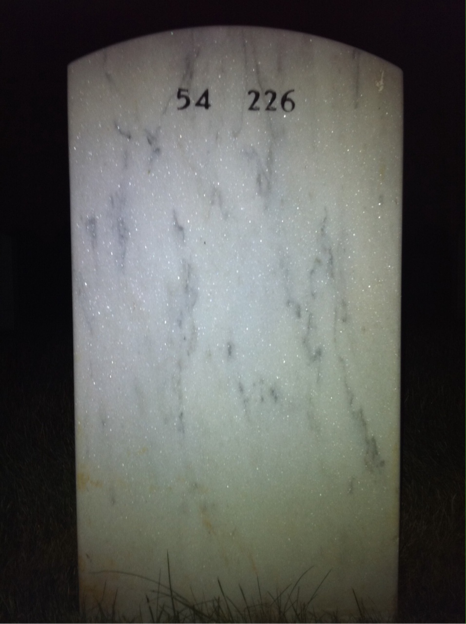 Back of headstone — Seal Ray