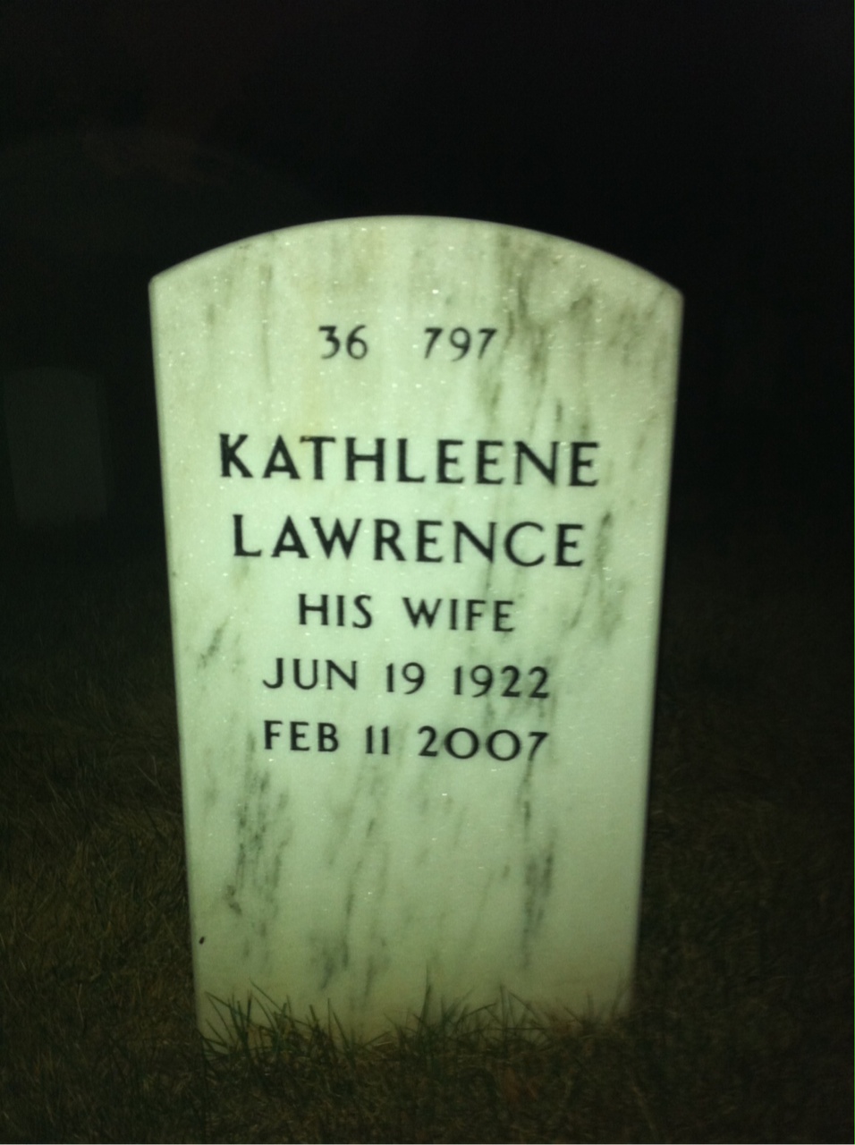 Back of headstone — William Cotter