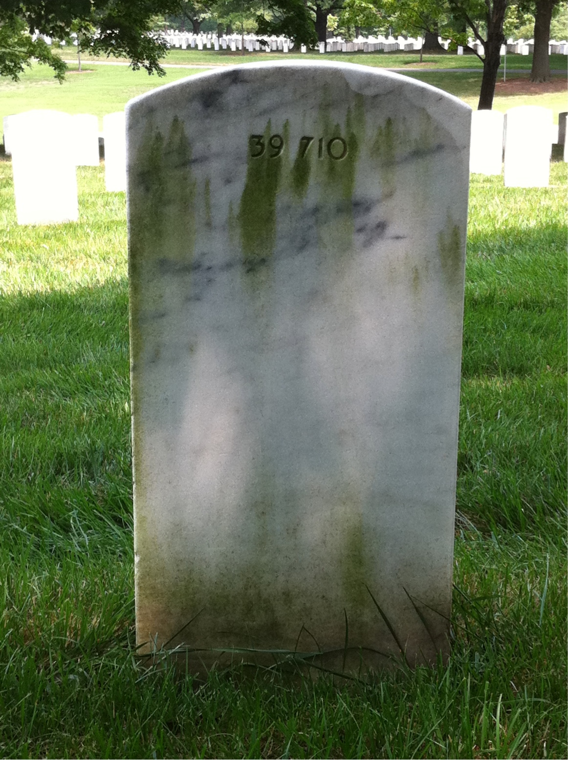 Back of headstone — Clifton Ashley
