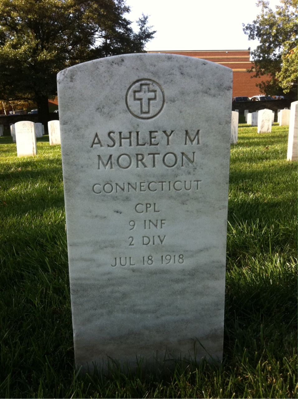 Ashley Morton