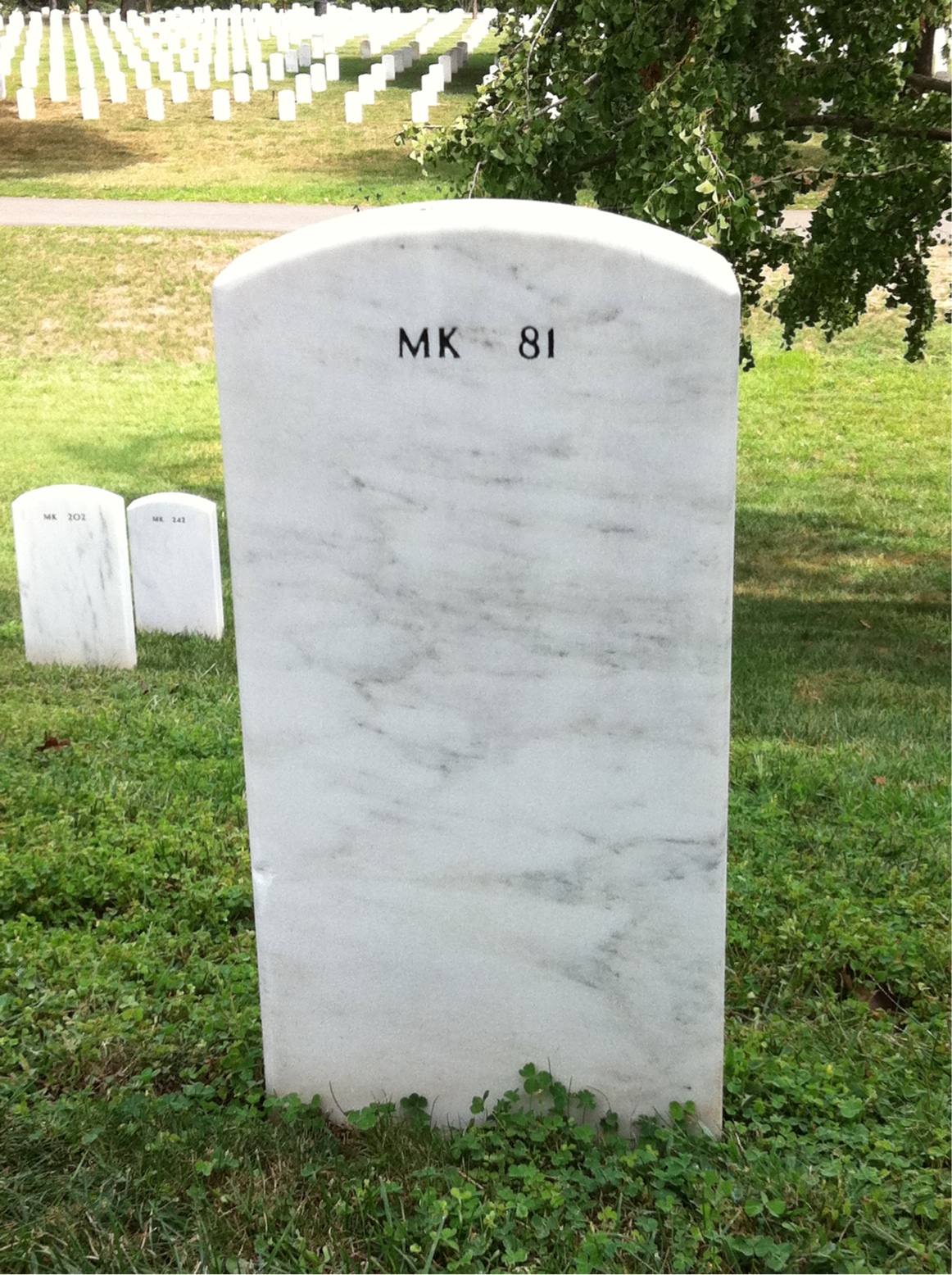 Back of headstone — Fernando Baltazar