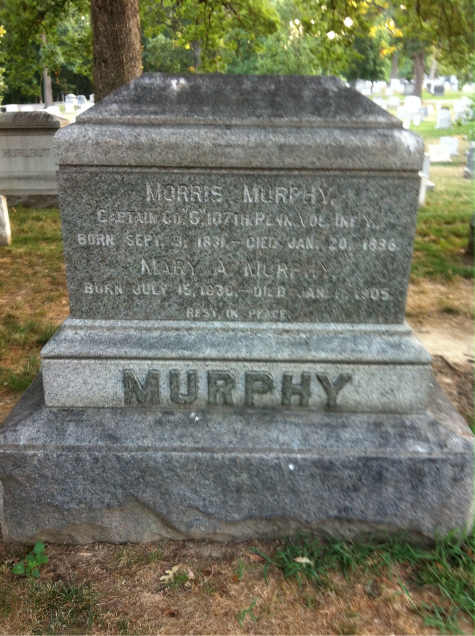 Mary Murphy