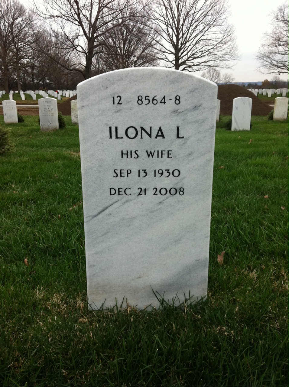 Back of headstone — Vincent Steele