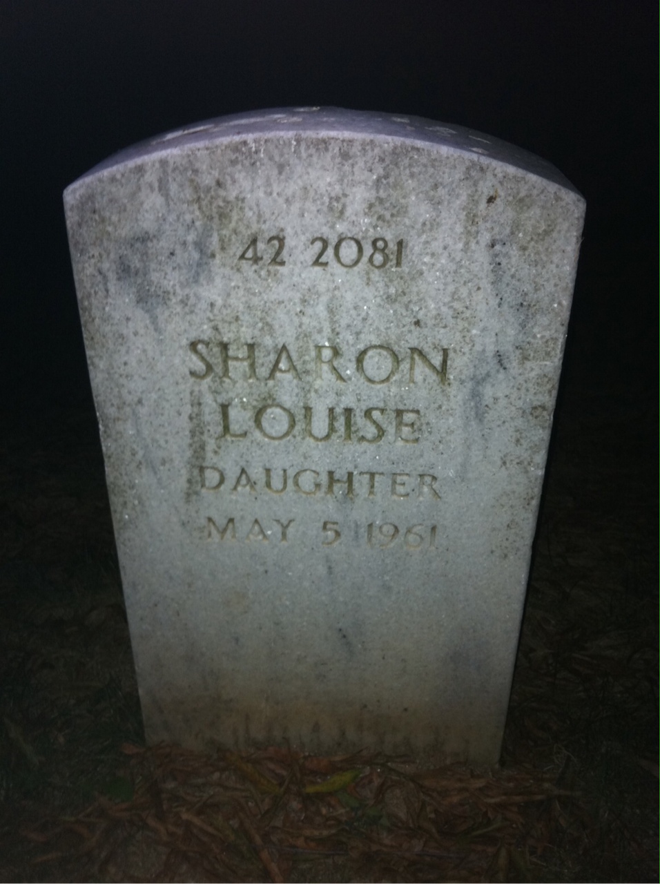 Back of headstone — James Sheldon