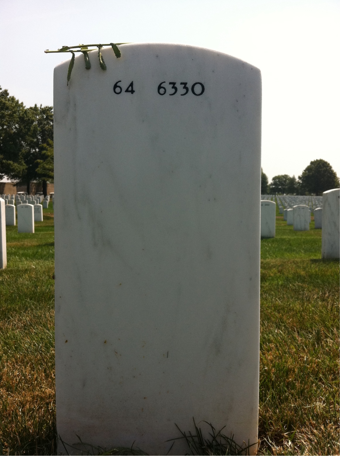 Back of headstone — Aldine Brooks