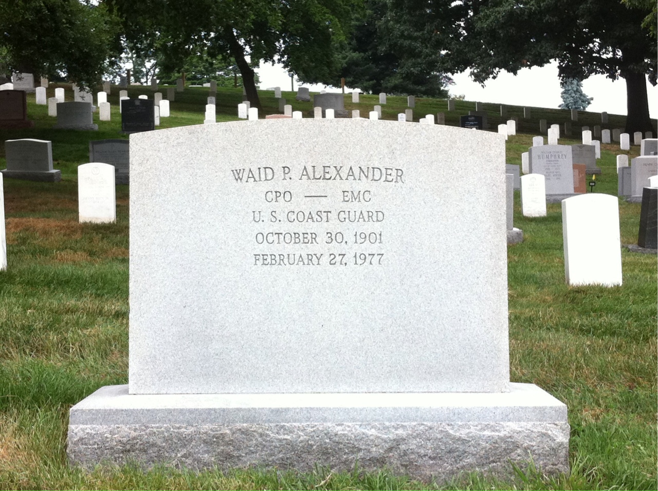 Stella Alexander