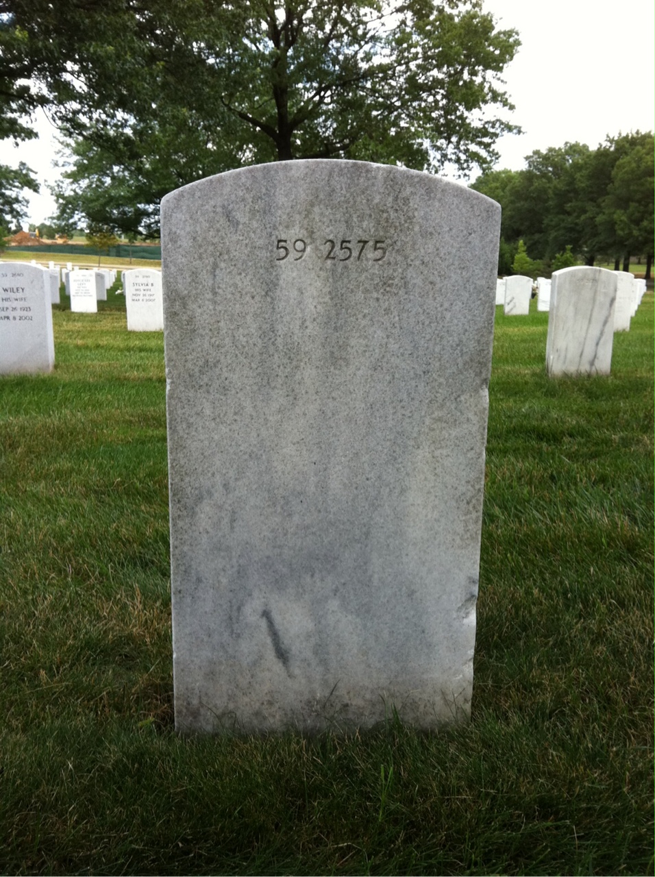 Back of headstone — Diamond Mckee