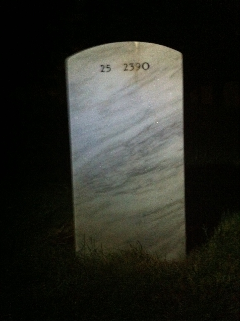 Back of headstone — Willard H Salo