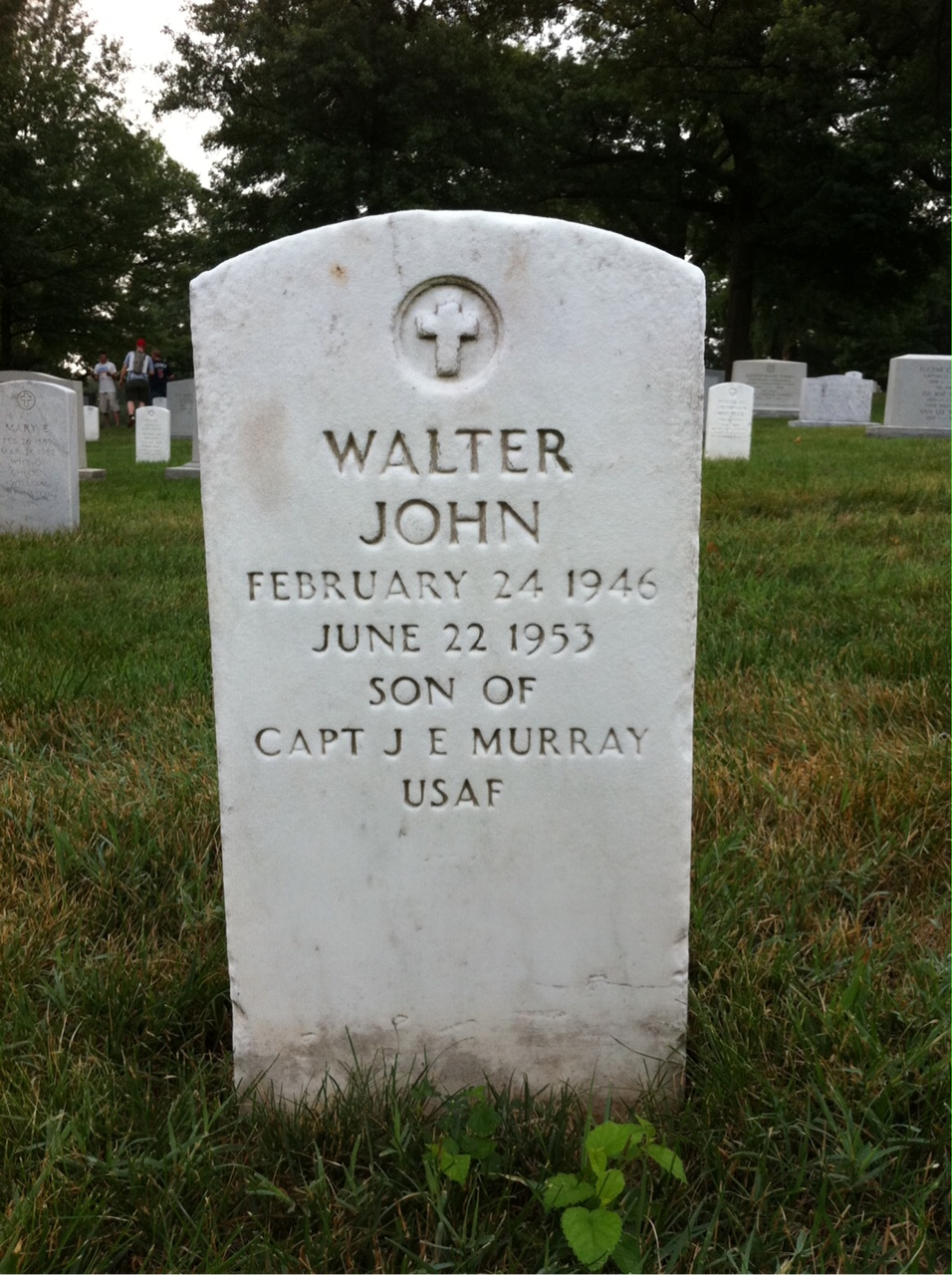 Walter Murray
