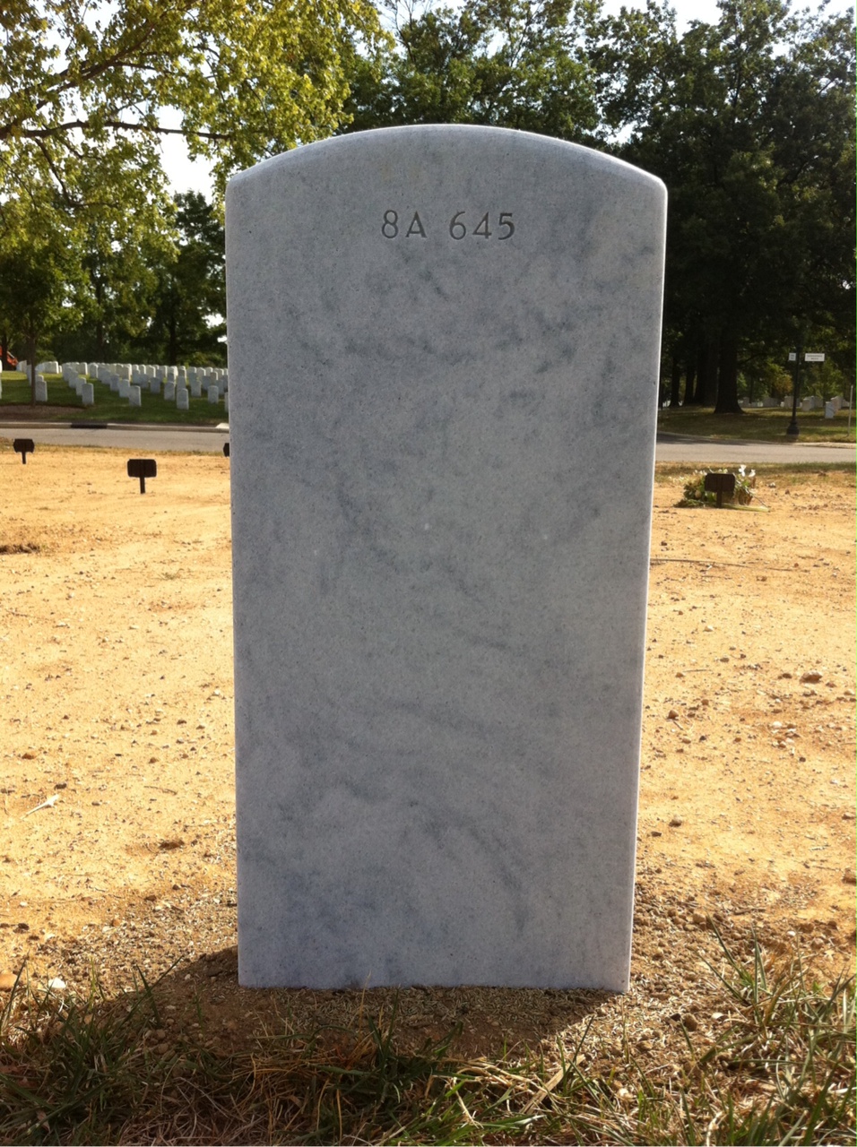 Back of headstone — Stephen Trotter