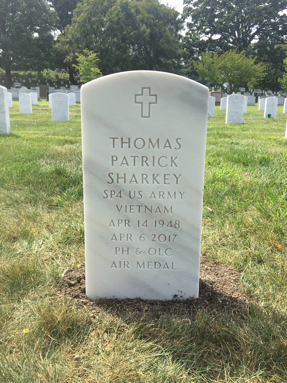 Thomas P Sharkey