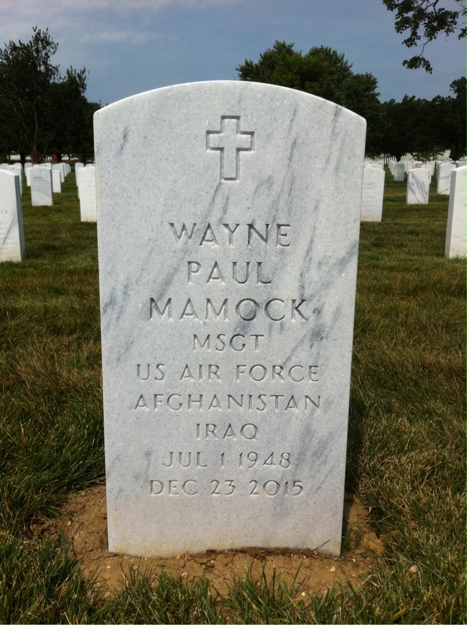 Wayne P Mamock