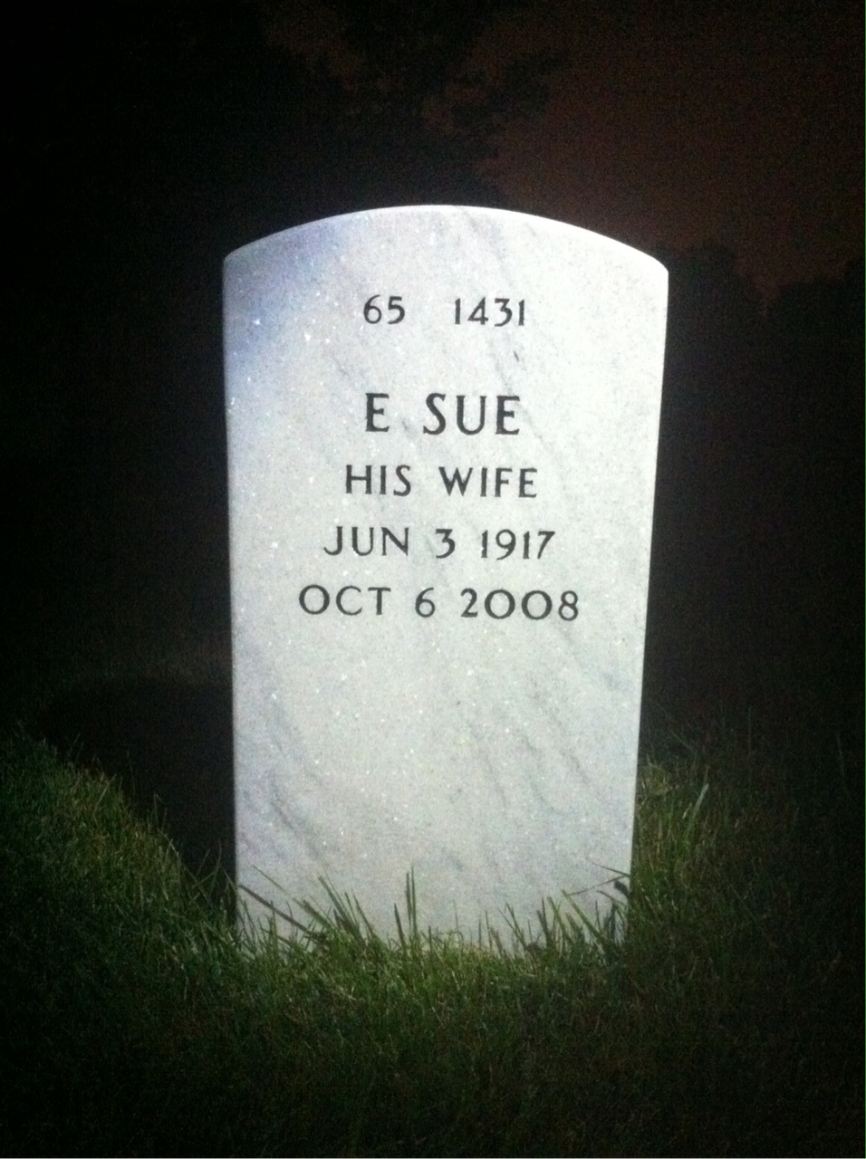 Back of headstone — William Cook