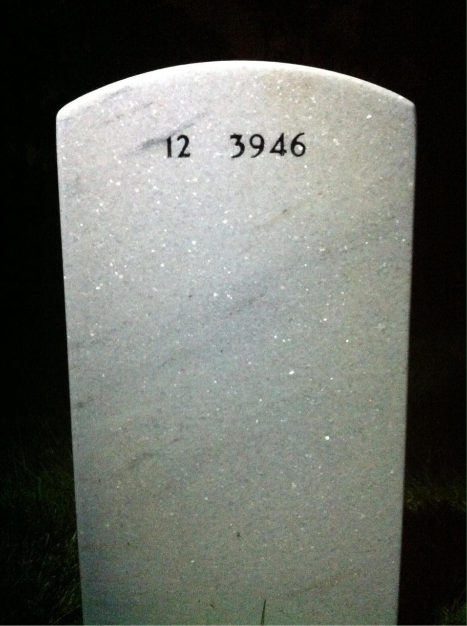 Back of headstone — Steve Verish
