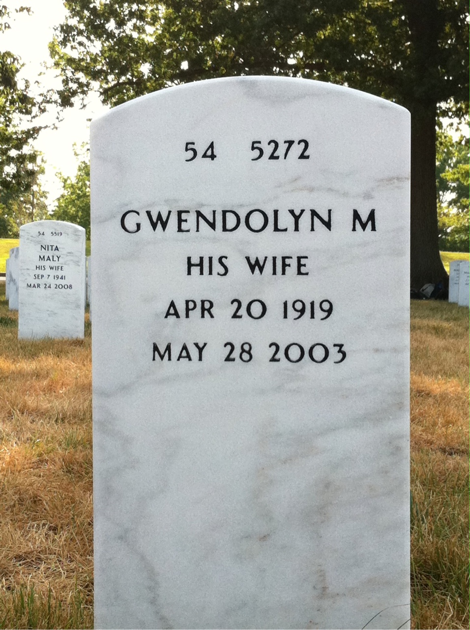 Back of headstone — Calvin Ellis