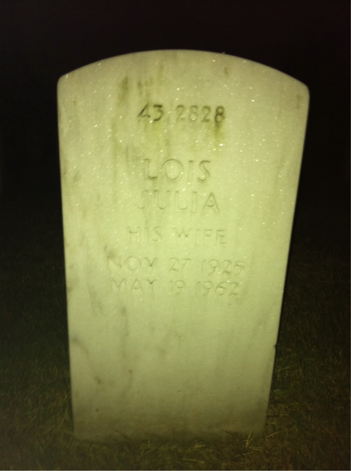 Back of headstone — Willie L Foster
