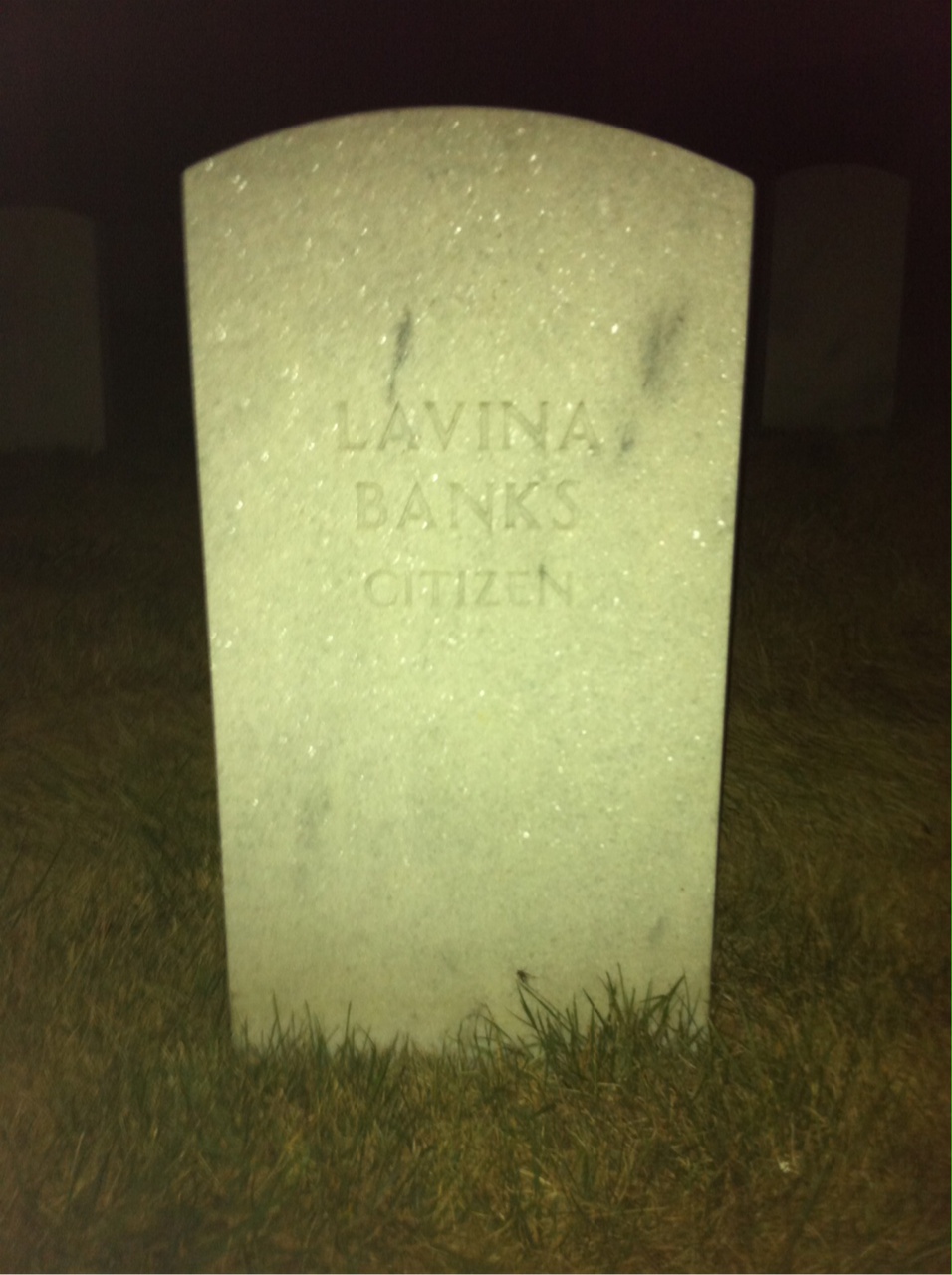 Lavina Banks