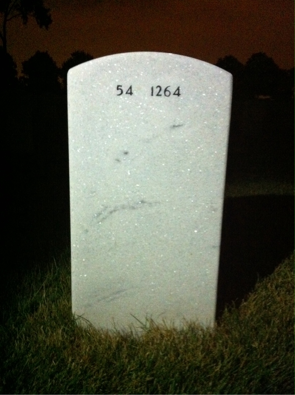 Back of headstone — Ethan Turshen