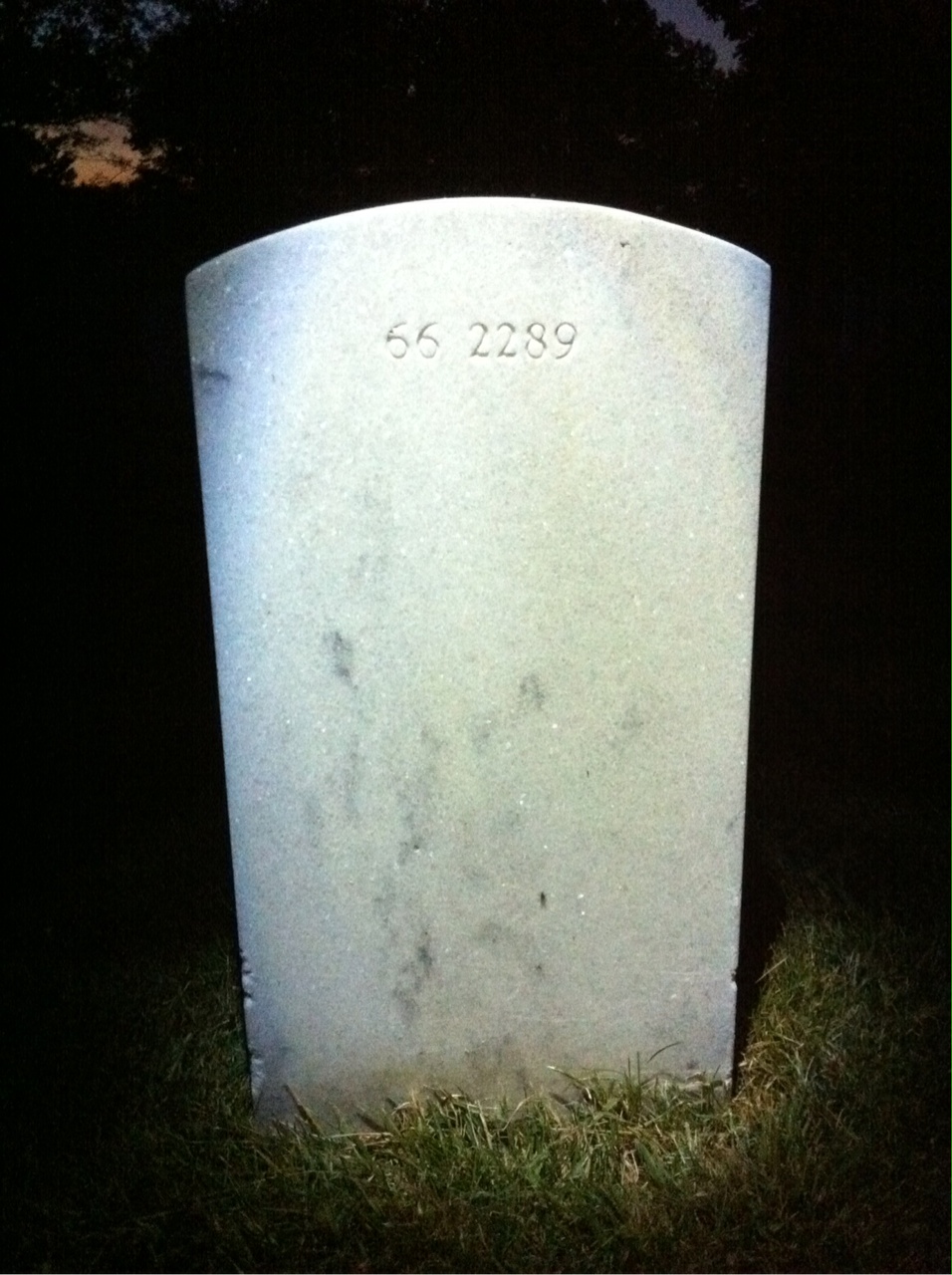Back of headstone — Lee Collins