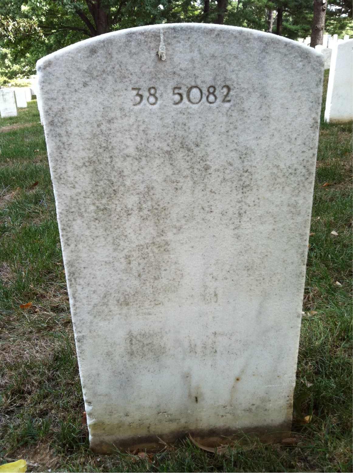 Back of headstone — William Webb
