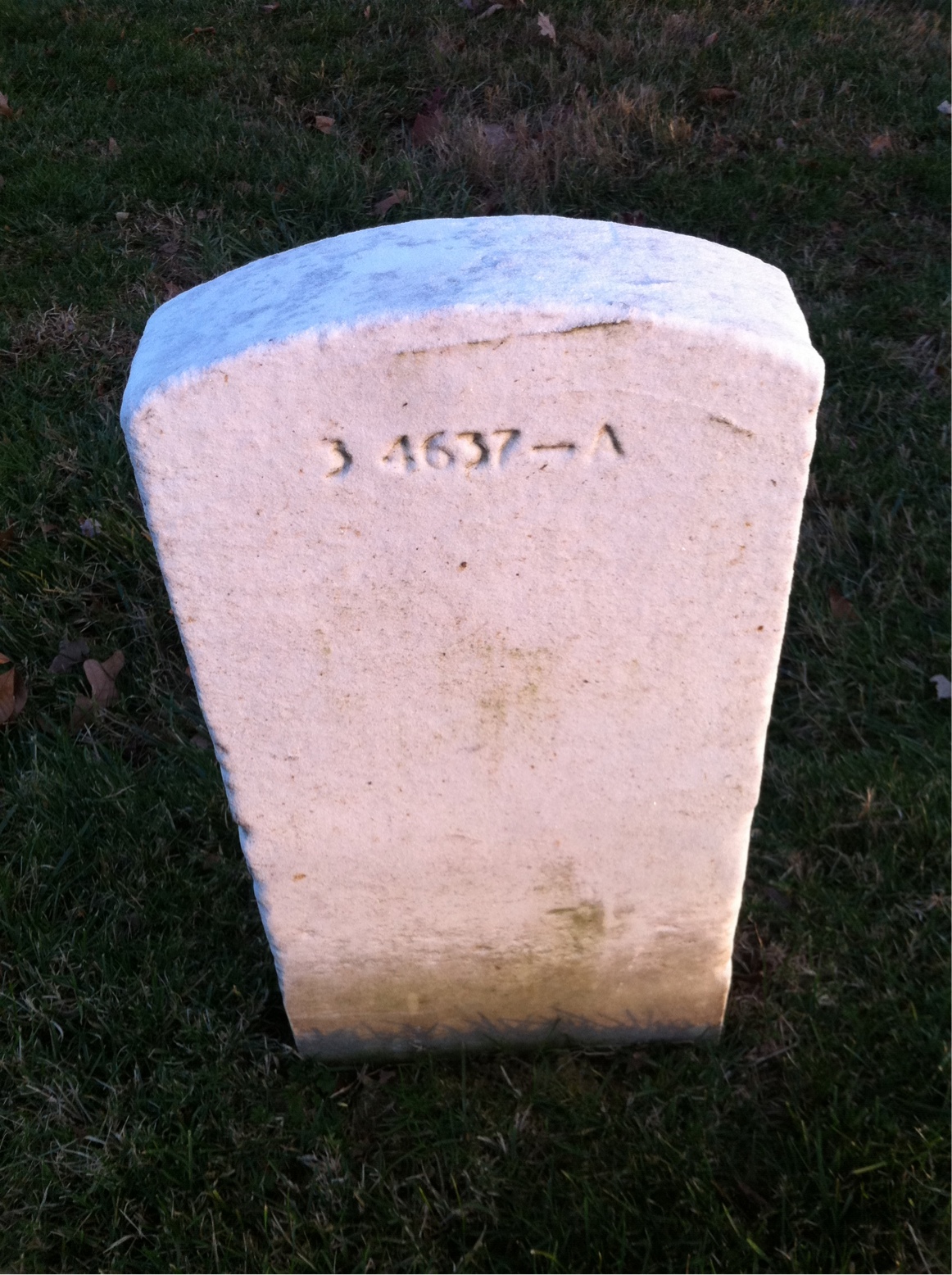 Back of headstone — Lavida Mckenzie