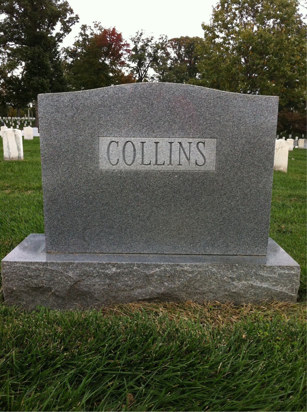 Back of headstone — Kriebel Collins