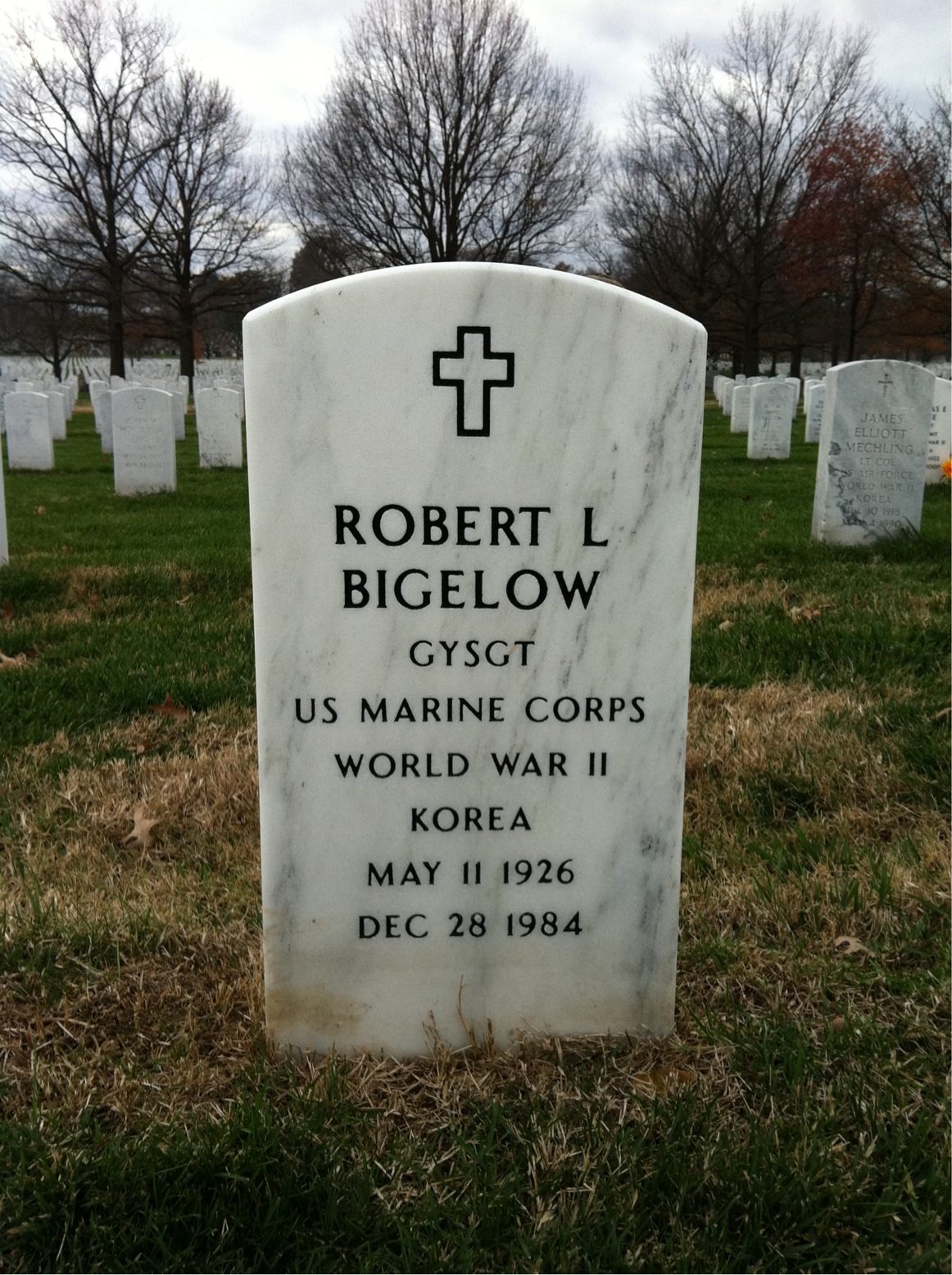 Robert Bigelow