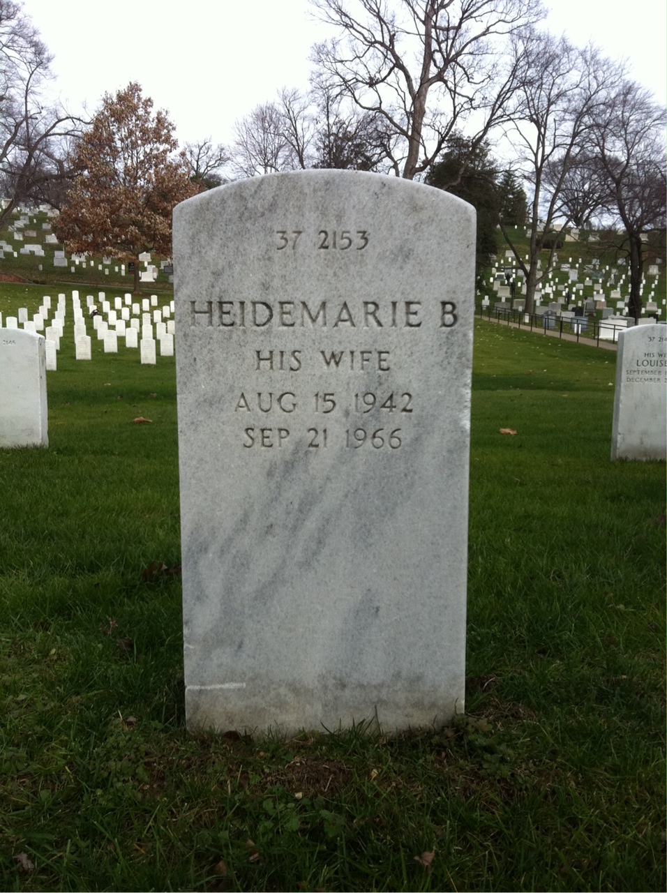 Back of headstone — Americo Alberti